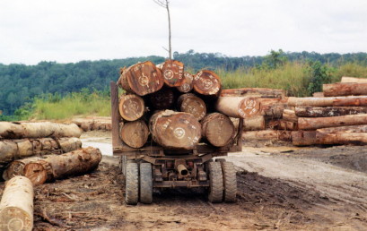 Diamanten, Herrscher, Holz & Co. – Afrikas natürliche Ressourcen im Spannungsfeld von Landdegradation und wirtschaftlicher Entwicklung