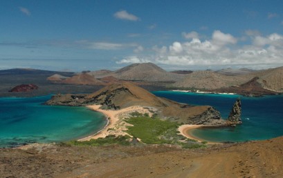 Galapagos – Pinguine am Äquator
