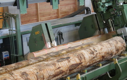 Der Bayerische Wald – das Armenhaus von gestern und (über‑)morgen?