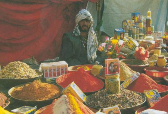 “Unterwegs durch Afghanistan – eine Zeitreise”