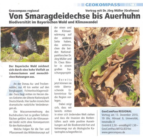 auerhuhn