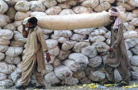 Katastrophenvorsorge in Nordwestpakistan