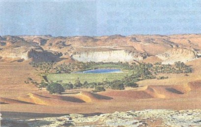Paradies mitten in der Wüste