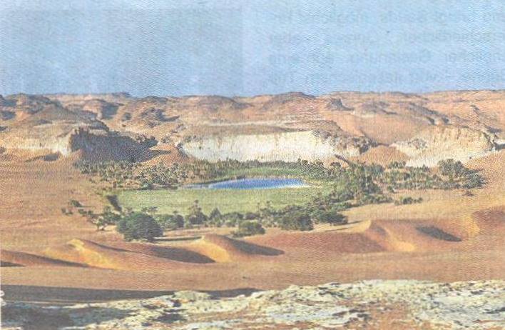 Paradies mitten in der Wüste
