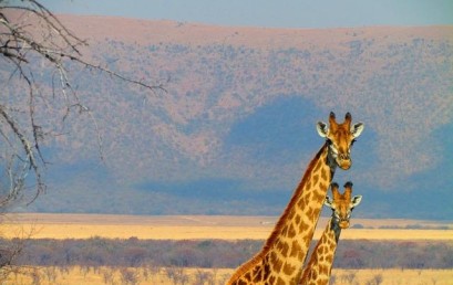 Afrika aus Sicht der Europäer