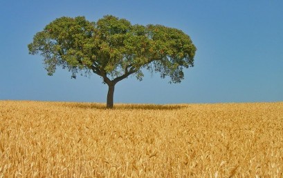 Portugal – Melancholie und Aufbruch im Südwesten der EU