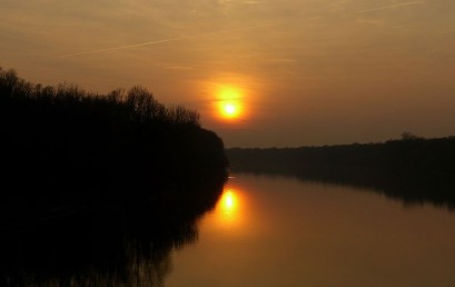 Europäischer Naturschutz in Passau – die EU-Life-Projekte an Inn und Donau als Beiträge zur Erhaltung der Biodiversität