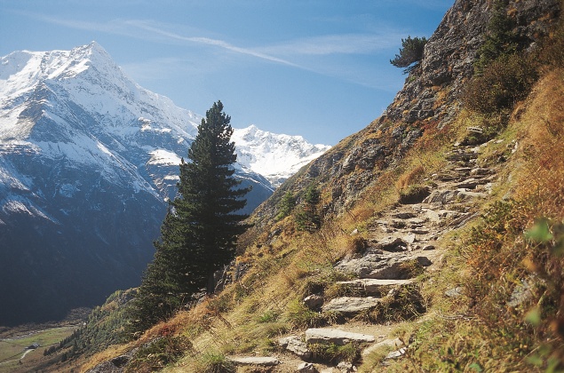Verwilderung der Alpen