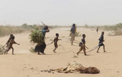 Umweltflüchtlinge? Migration im Zeitalter des Klimawandels
