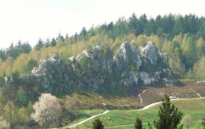 Reise in die Vergangenheit