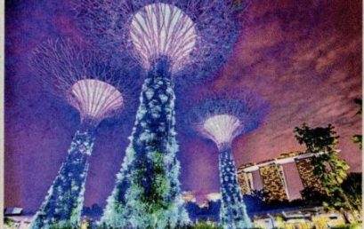 Smart City Singapur