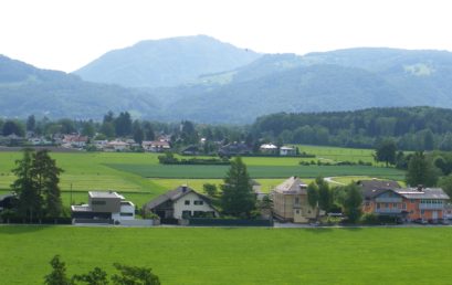 Salzburg die Grüne Stadt – Urbane Ökosysteme in Salzburg als Leistungsträger im Stadtmanagement