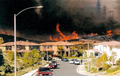 Ohne Feuerschutz kein Klimaschutz