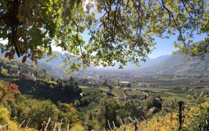 Südtirol – Wirtschaftliche Dynamik und kulturelle Vielfalt auf der Sonnenseite der Alpen