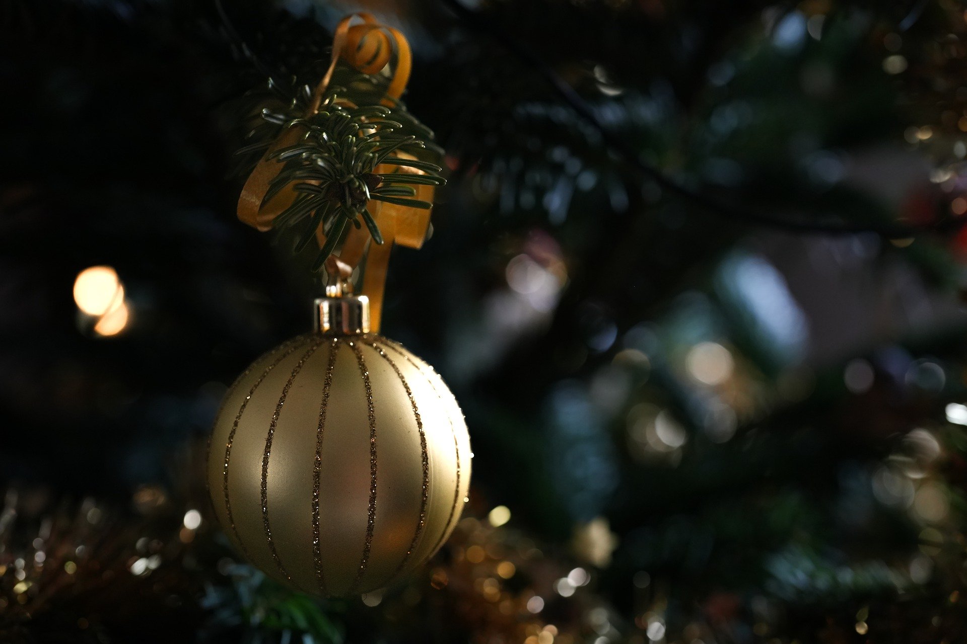 Frohe Weihnachten und ein gutes neues Jahr Frohe Weihnachten und ein gutes neues Jahr