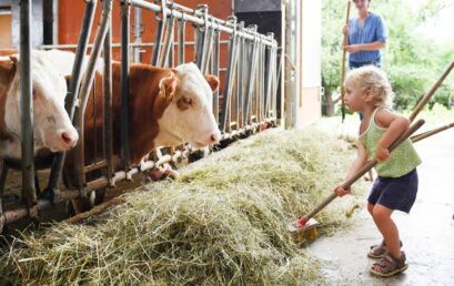 Landwirtschaft vor neuen Herausforderungen – Wie antworten bayerische Betriebe auf Klimawandel, Artenverlust und Strukturwandel?