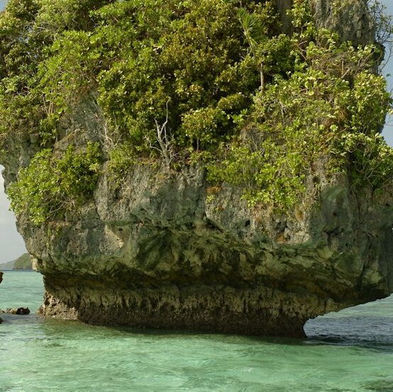 Geld aus Stein – die außergewöhnliche Kultur- und Naturgeschichte von Palau (Mikronesien)